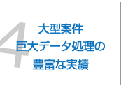 4.大型案件巨大データ処理の豊富な実績