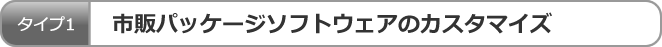 市販パッケージソフトウェアのカスタマイズ